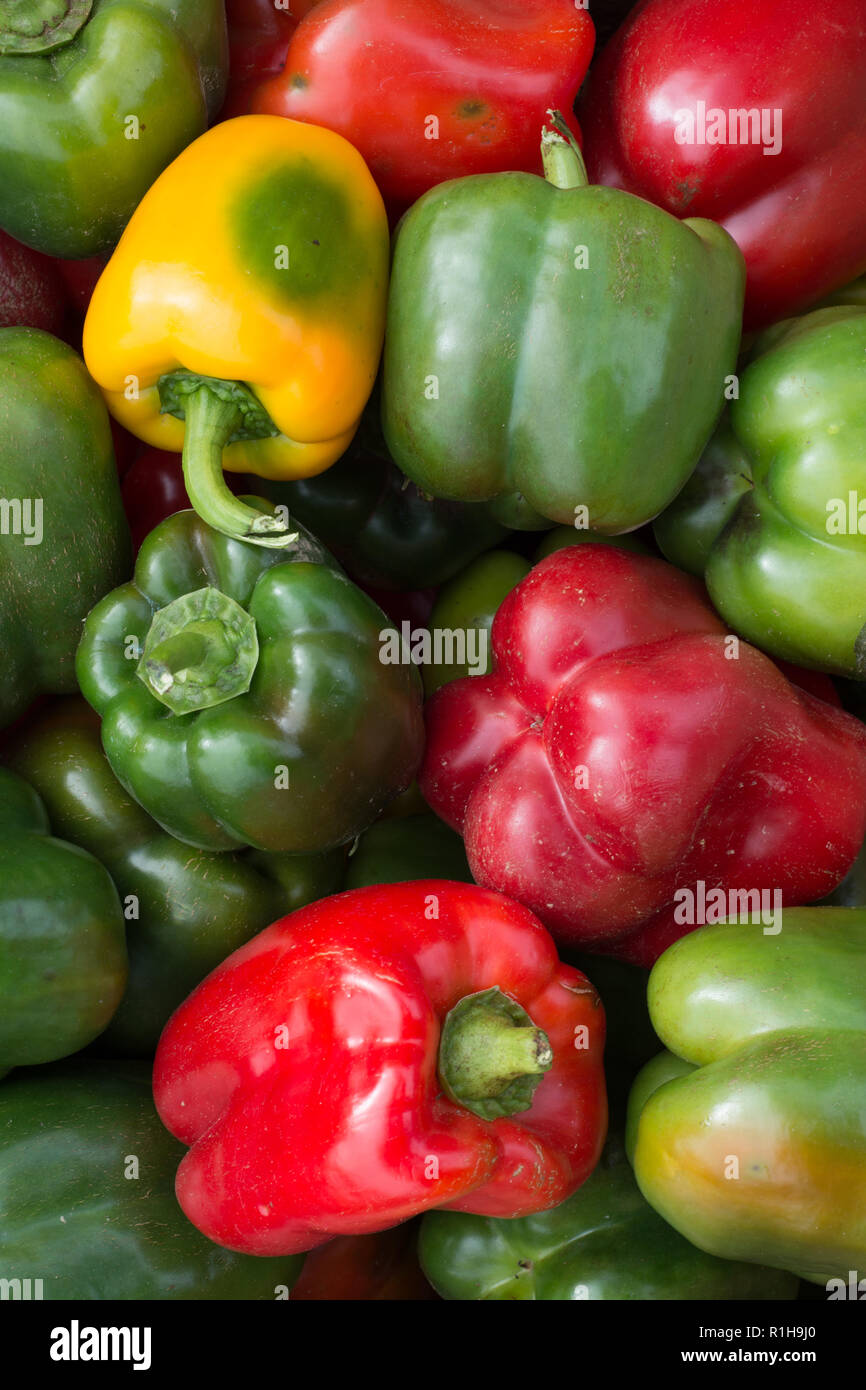 Green peppers at the farmers market hi-res stock photography and images ...