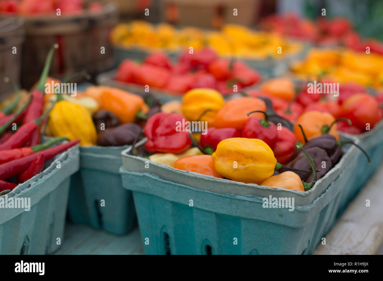 peppers for sale at farmers' market Stock Photo Alamy