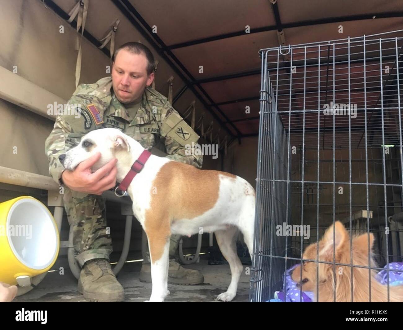 1 118 infantry battallion hi-res stock photography and images - Alamy