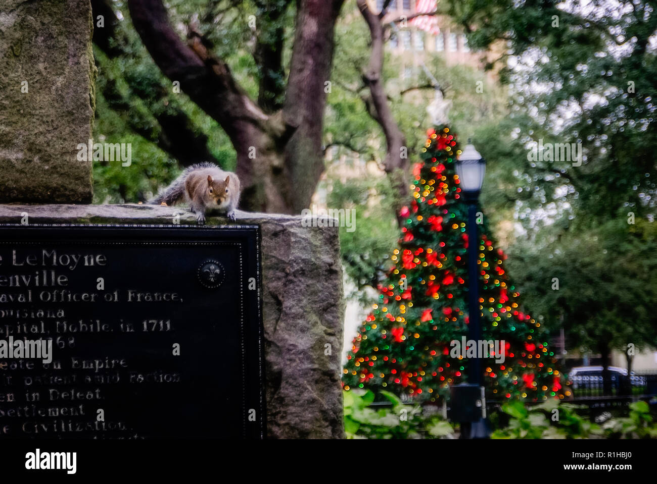 A squirrel sits on a statue beside a Christmas tree at Bienville Square, Dec. 18, 2017, in Mobile, Alabama. Stock Photo