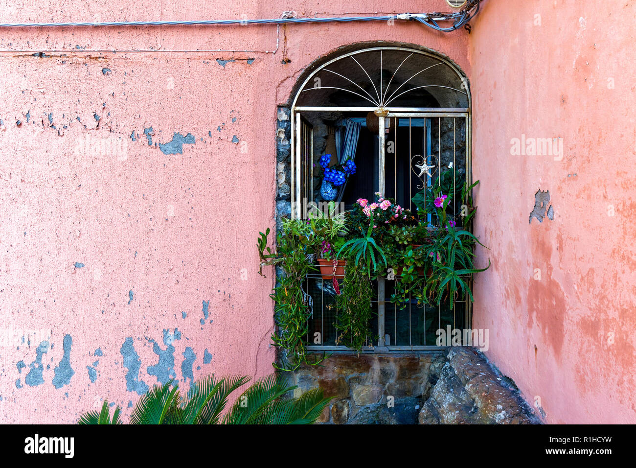 Charming window on a pink wall in Vernazza Italy Stock Photo