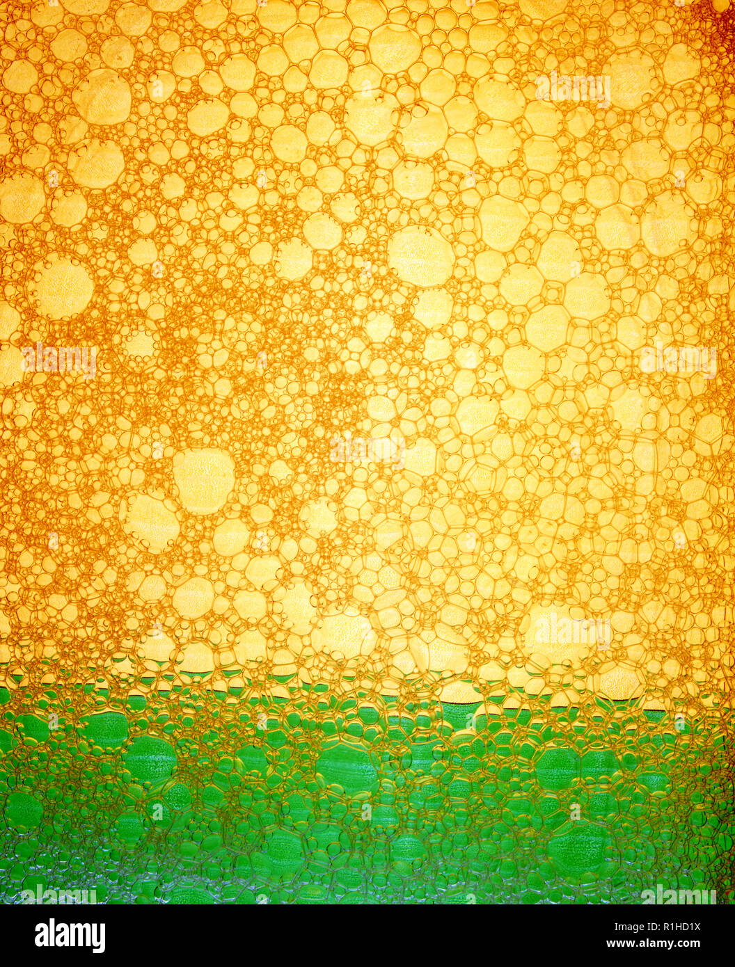 A brightly colored image of back lit bubbles. Stock Photo