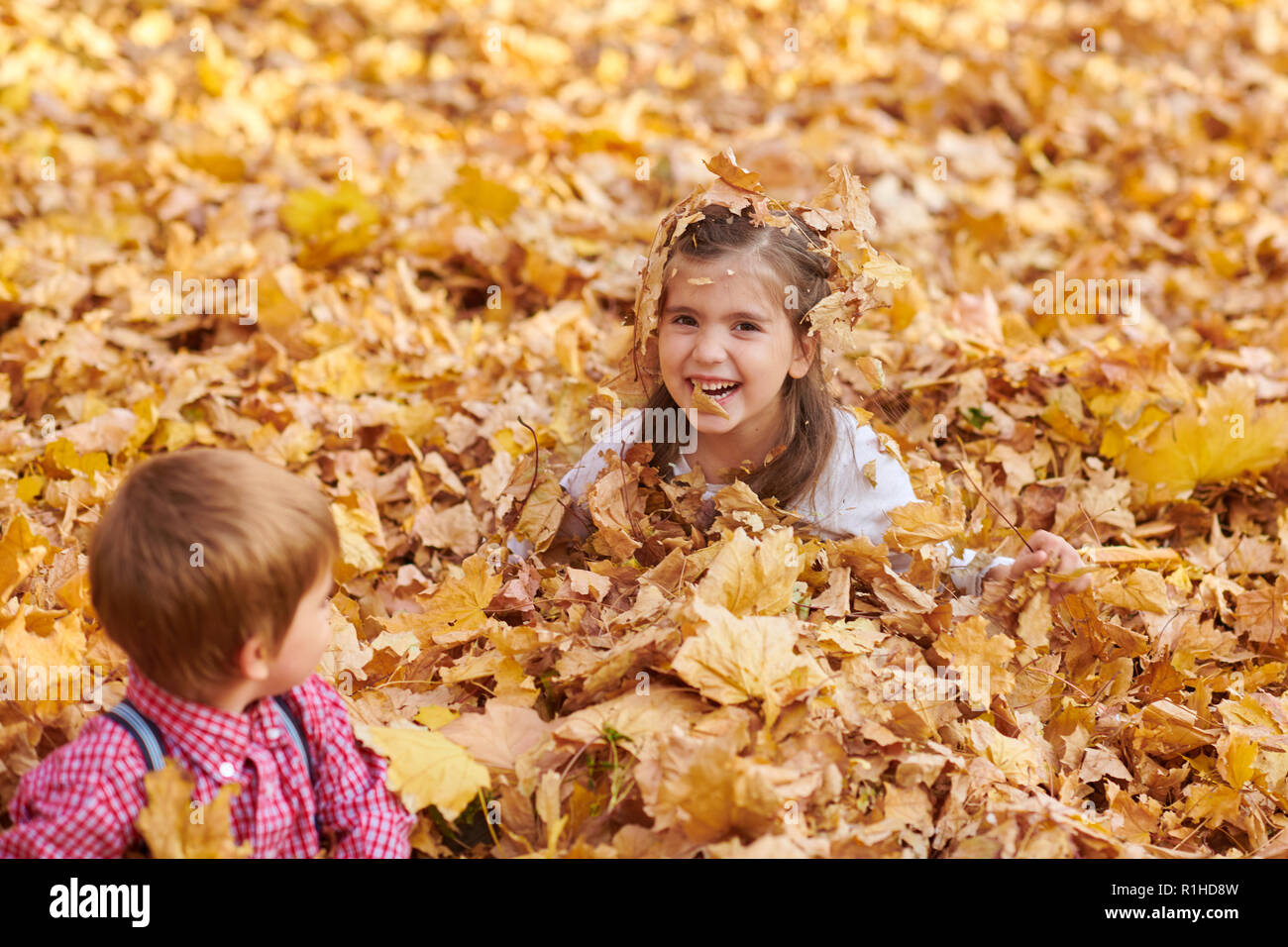 Children are lying and playing on fallen leaves in autumn city park ...