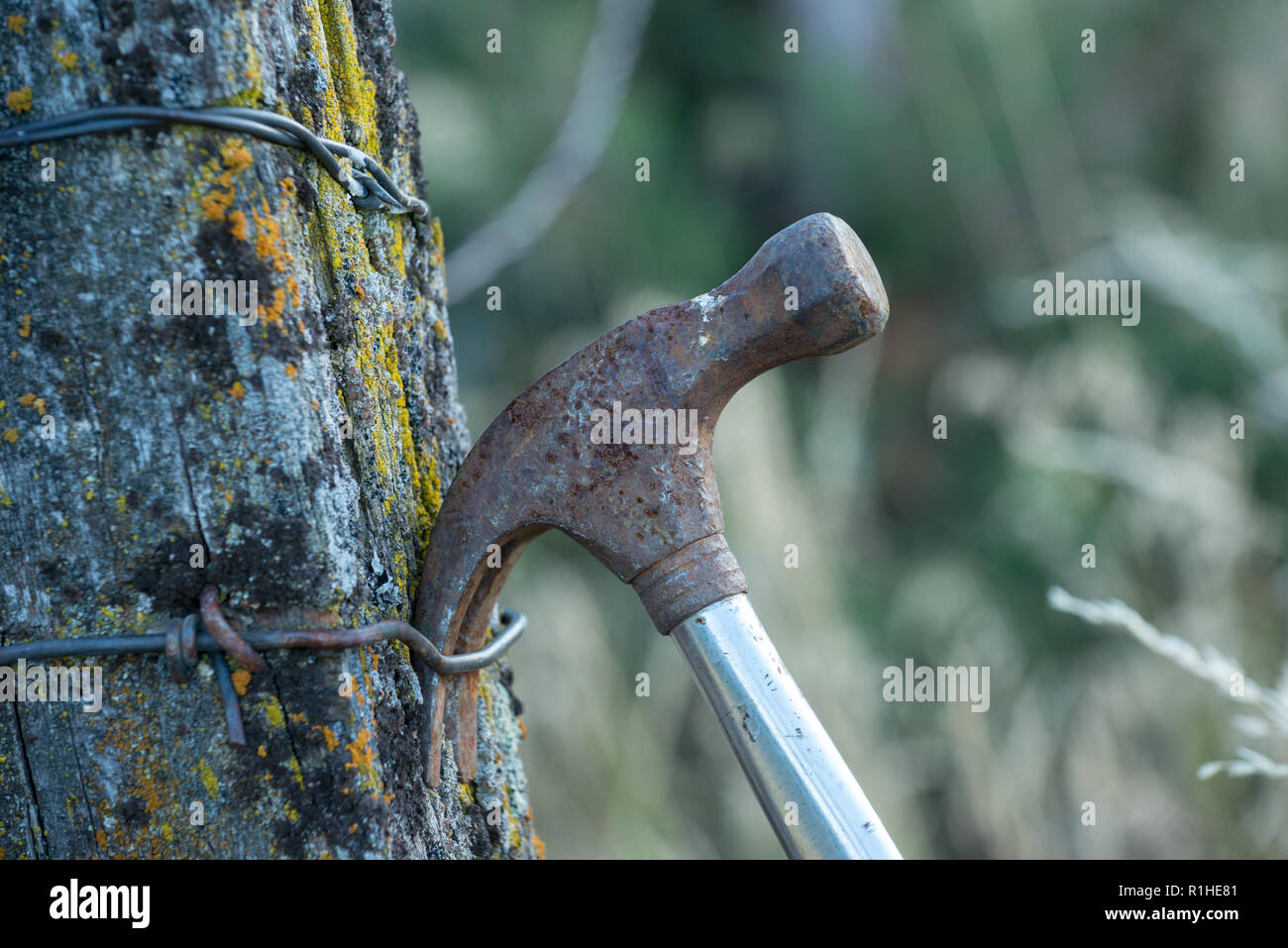 Hammer hanging on fence post, Wallowa Valley, Oregon Stock Photo Alamy