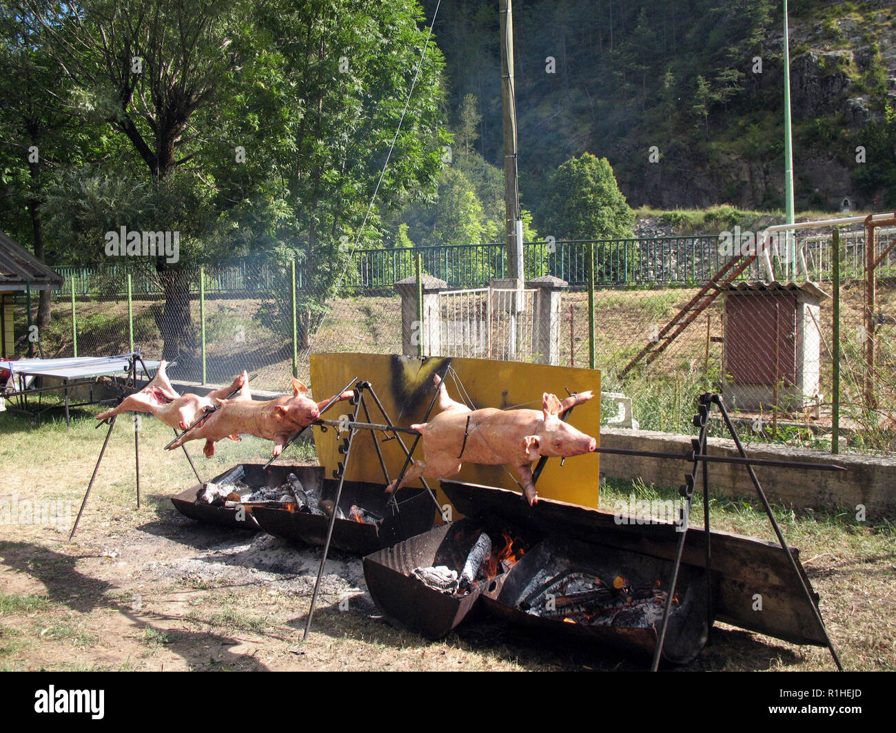 Hog roast on open spit in south france Stock Photo