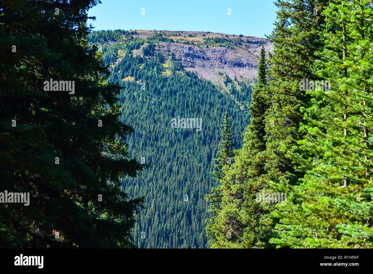 peaks, valleys, meadows  and other scenery in the Rocky mountains of Canada Stock Photo