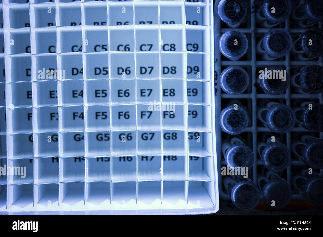 Medical paper clinical trial specimen box labeled in rows with numbers