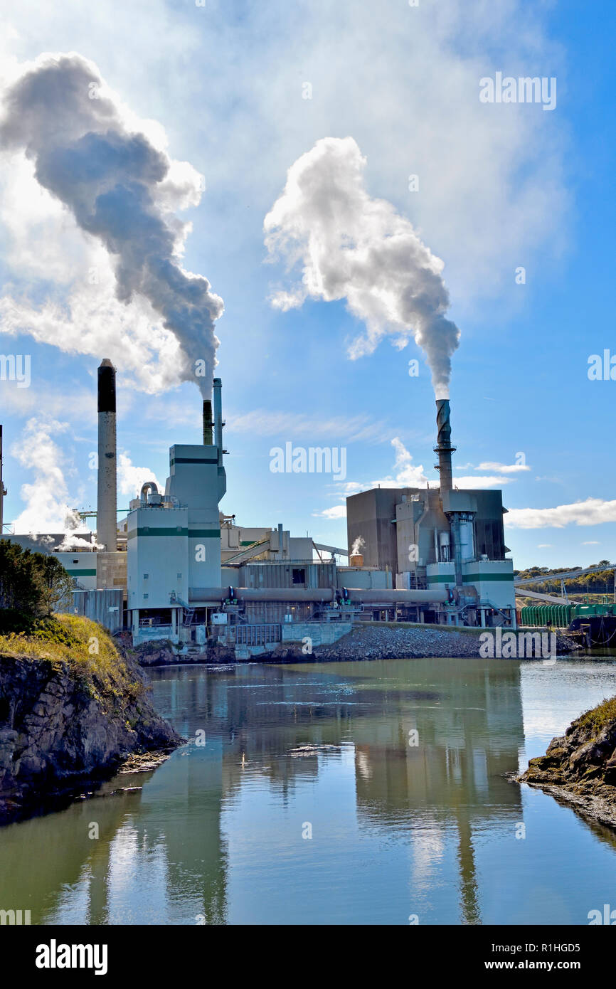 A vertical image of the Irving Pulp Mill situated at the famous Reversing Falls on the Saint John River in the city of Saint John New Brunswick Canada Stock Photo