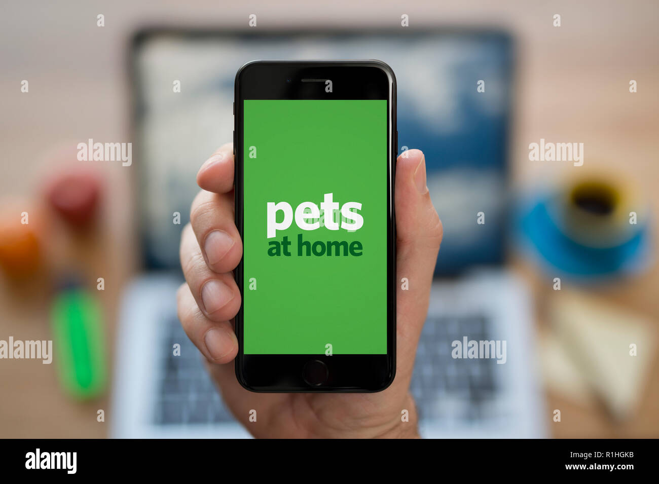 A man looks at his iPhone which displays the Pets At Home logo, while sat at his computer desk (Editorial use only). Stock Photo