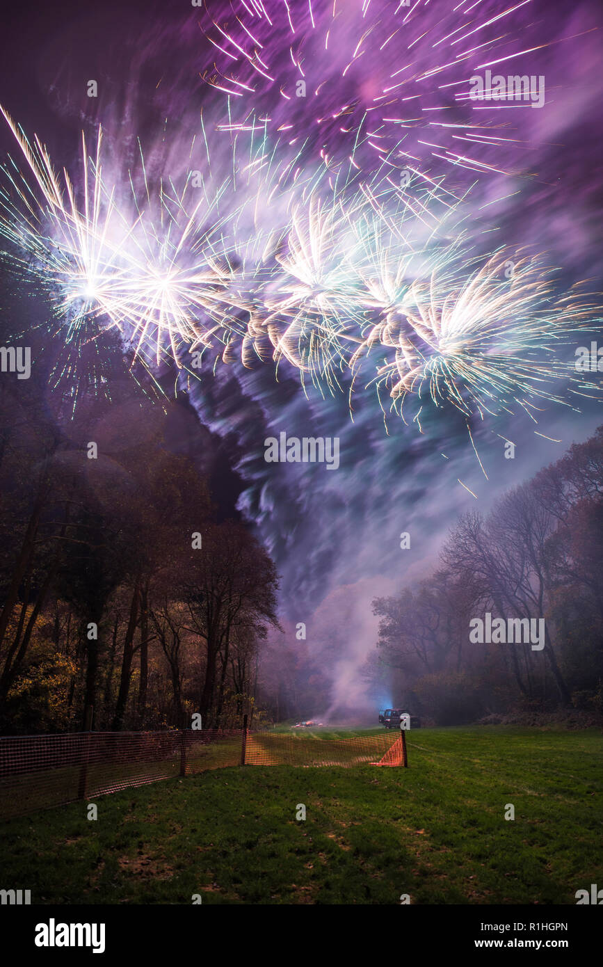Fireworks at a display, Cornwall, UK Stock Photo Alamy