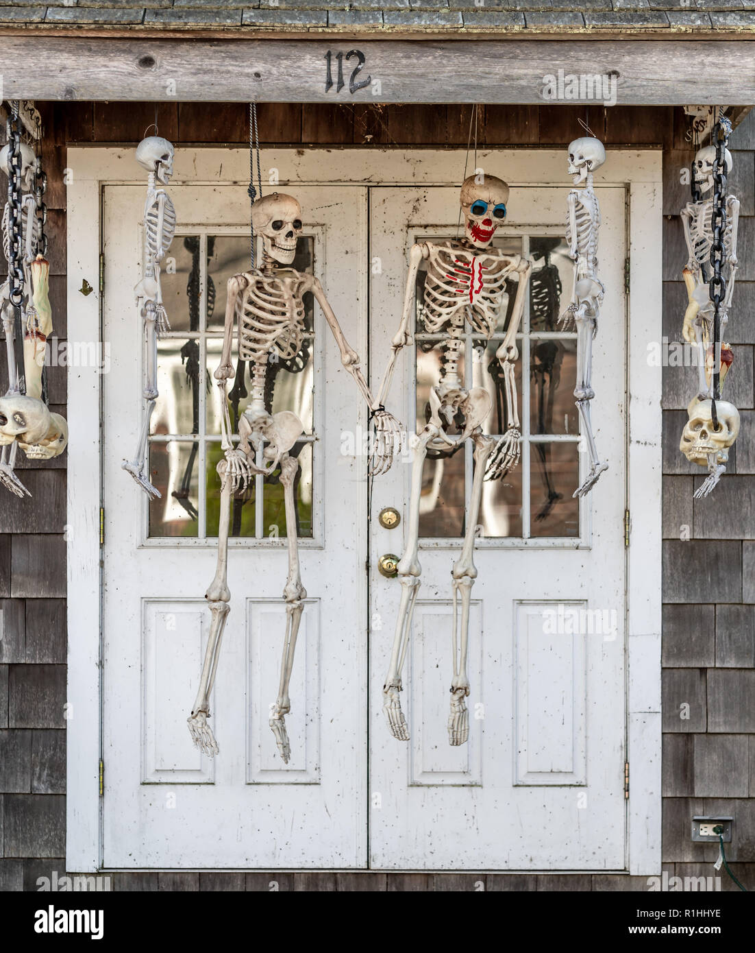 two full skeletons hung in front of a door in October Stock Photo