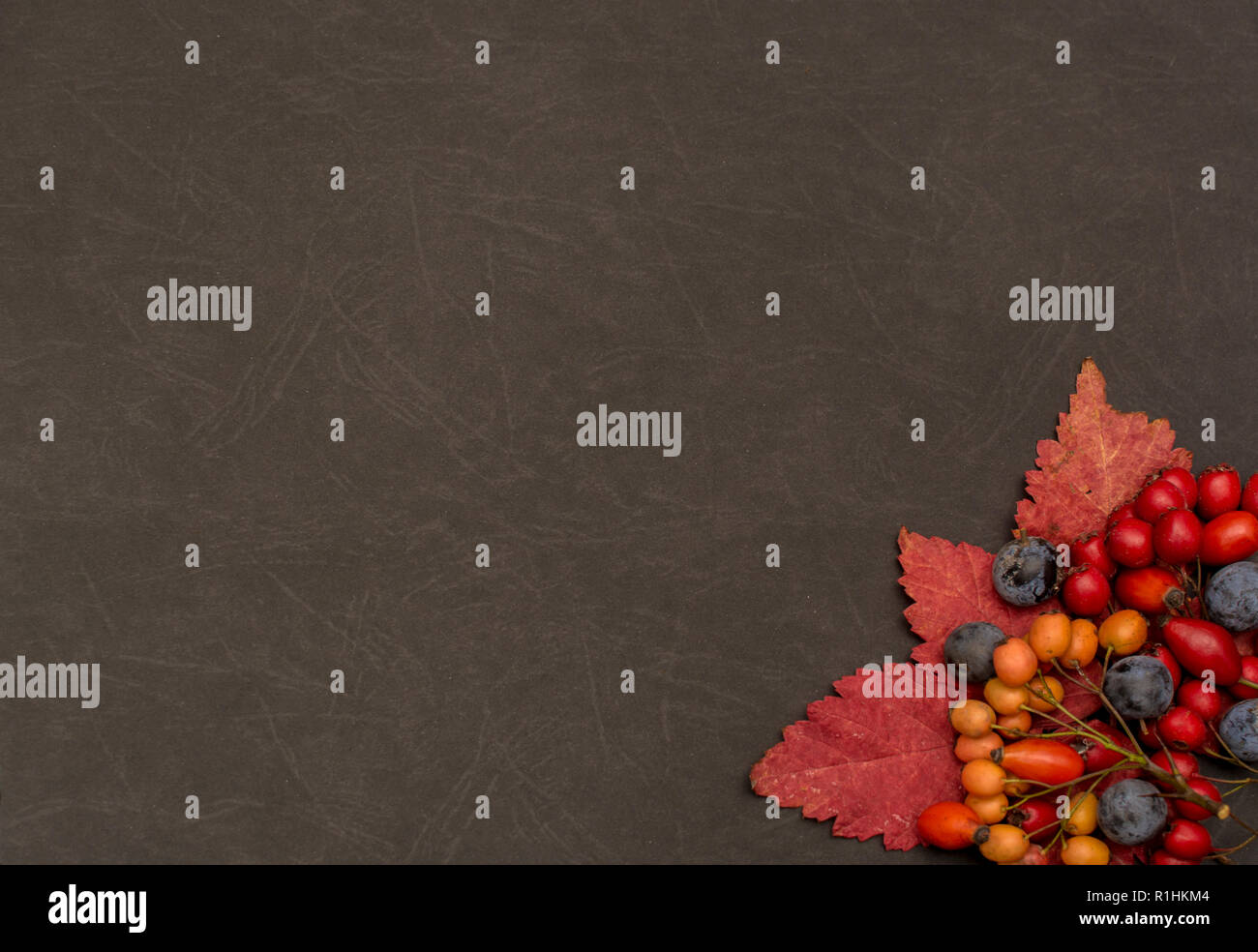 Autumn background with fall leave and fruits on black background Stock Photo