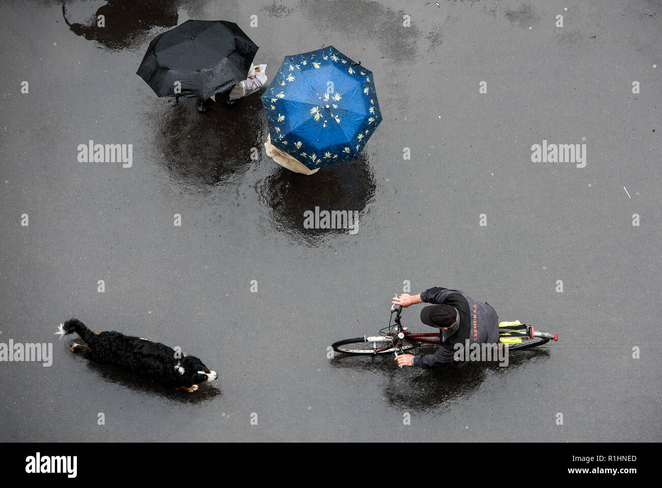 People in the Rain with Umbrella, Bird's eye view. People with Umbrella