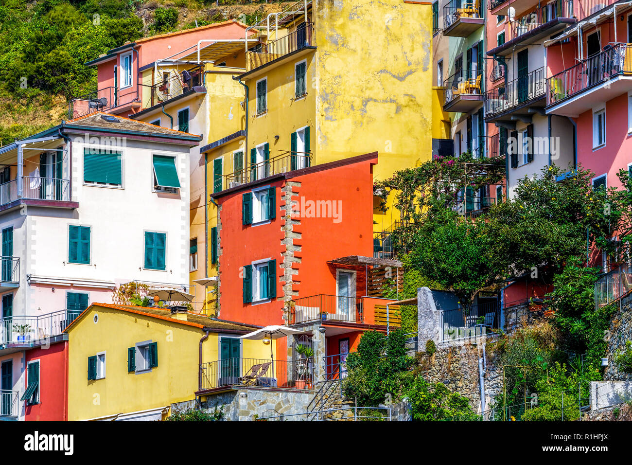 Colorful houses in Manarola Village Italy Stock Photo