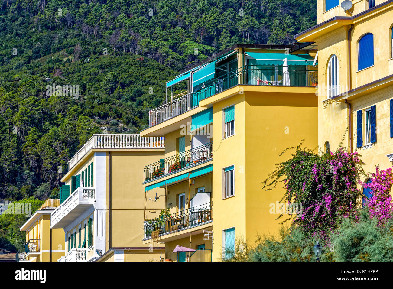 Colorful houses in Monterosso Al Mare Ital Stock Photo Alamy