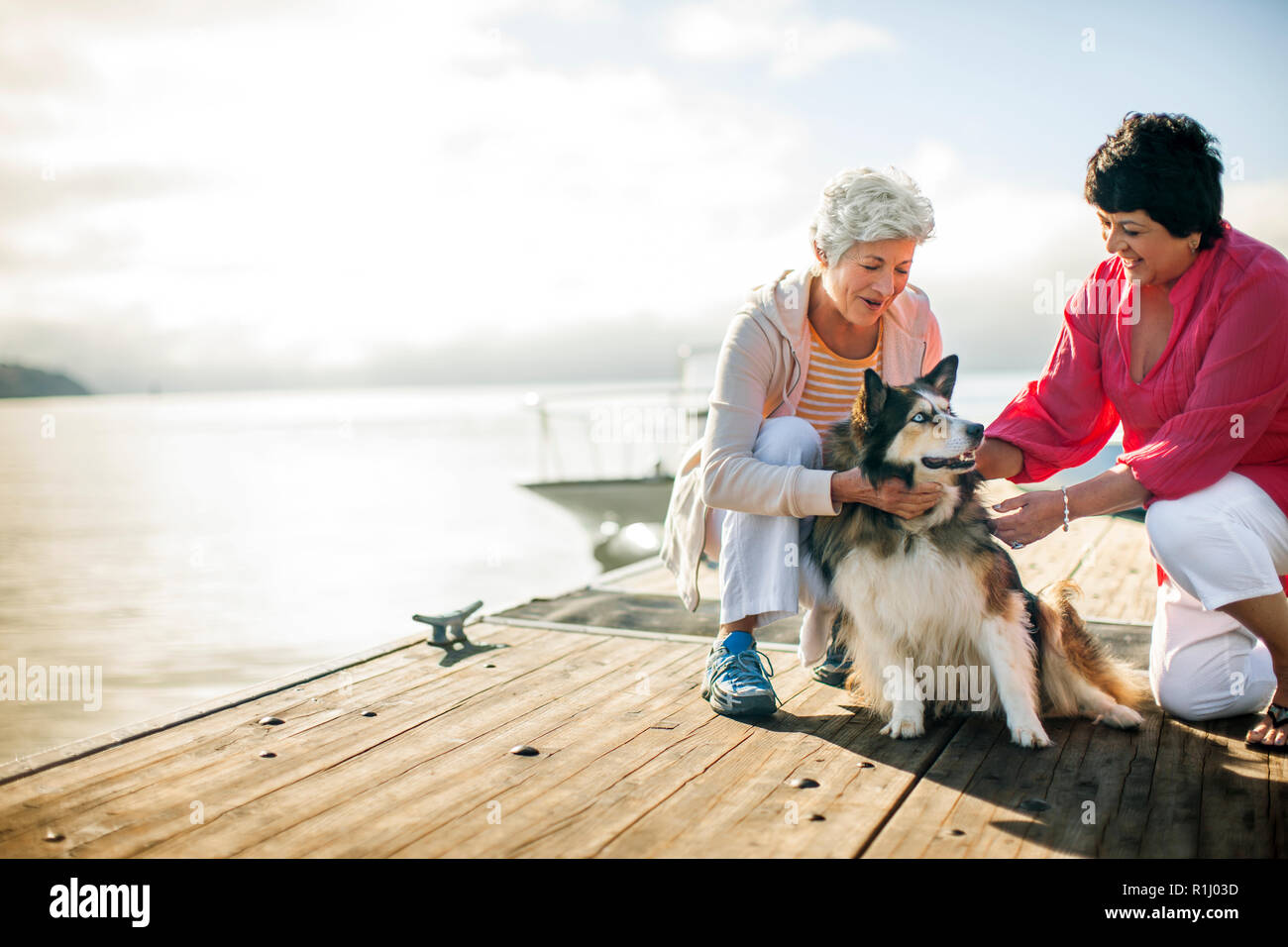 Two crouching dogs hi-res stock photography and images - Alamy