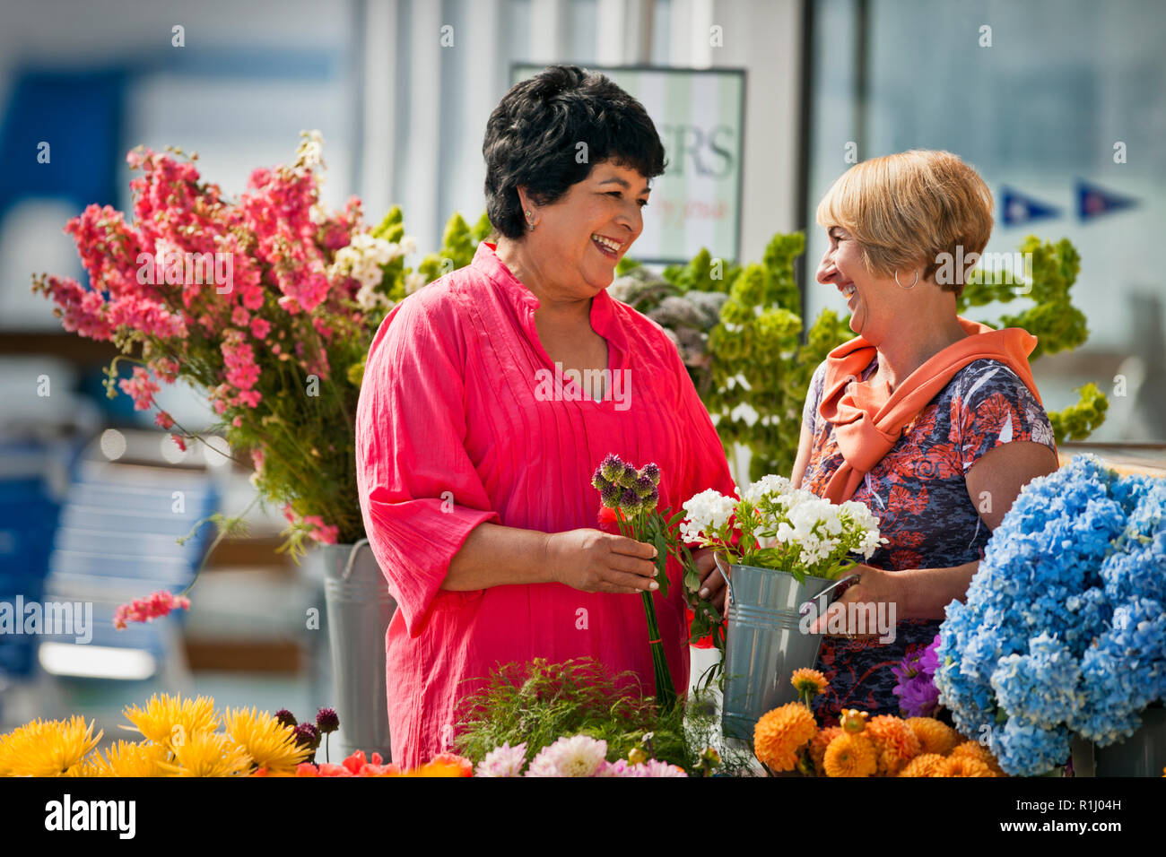 Women enjoying a day out socializing hi-res stock photography and ...