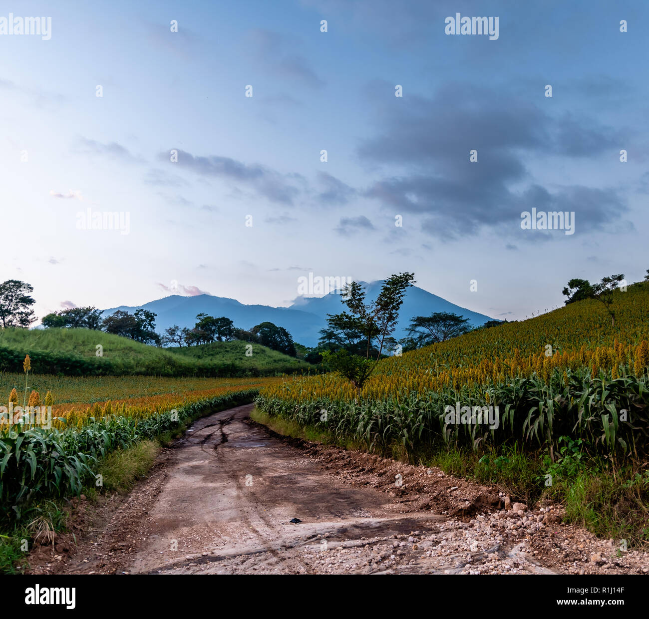 landscape of Guatemalan mountains Stock Photo Alamy