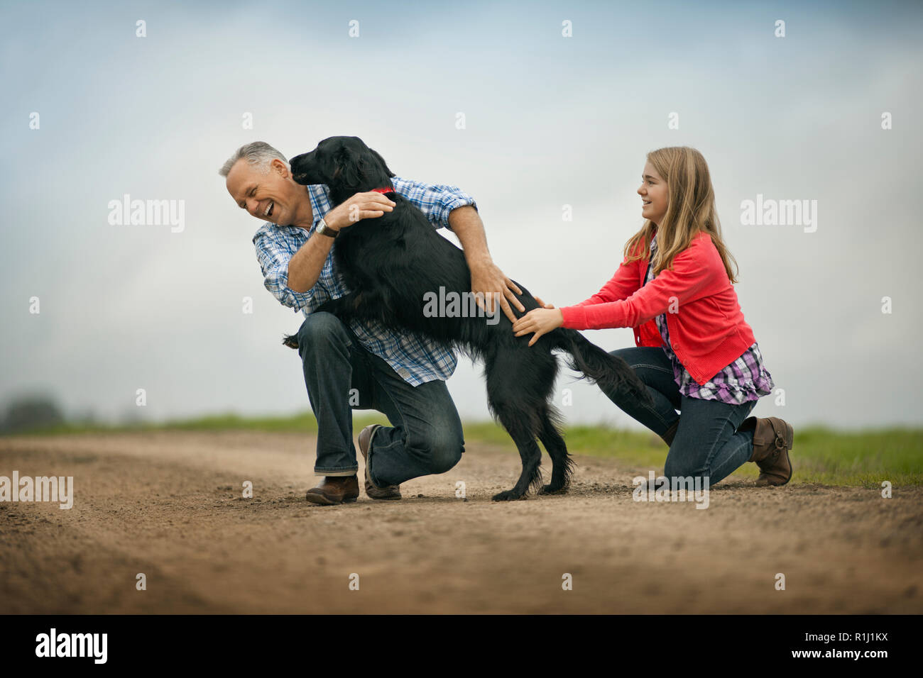 Dog playfully jumping up on its owner. Stock Photo