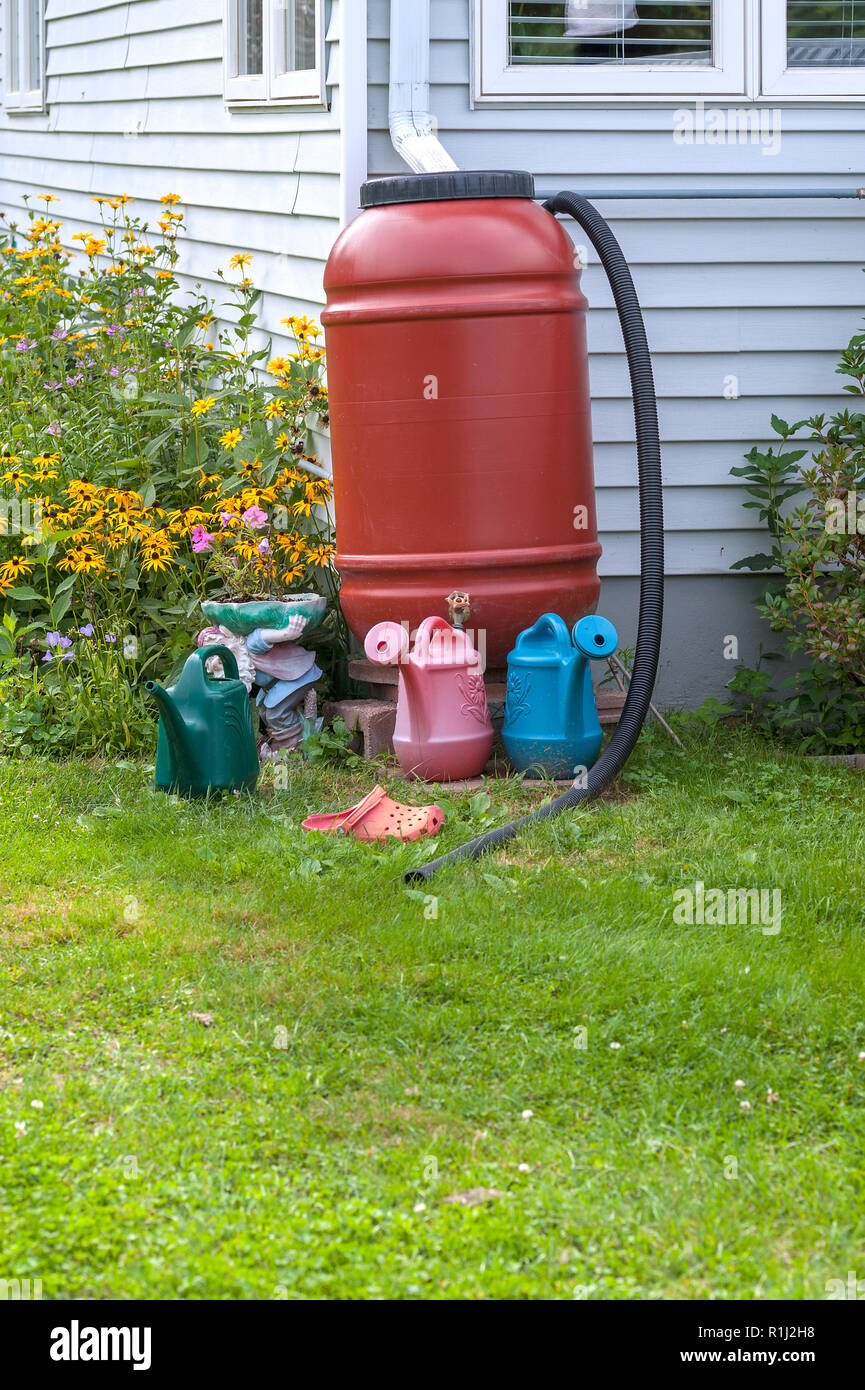 Rain barrel and watering cans Stock Photo