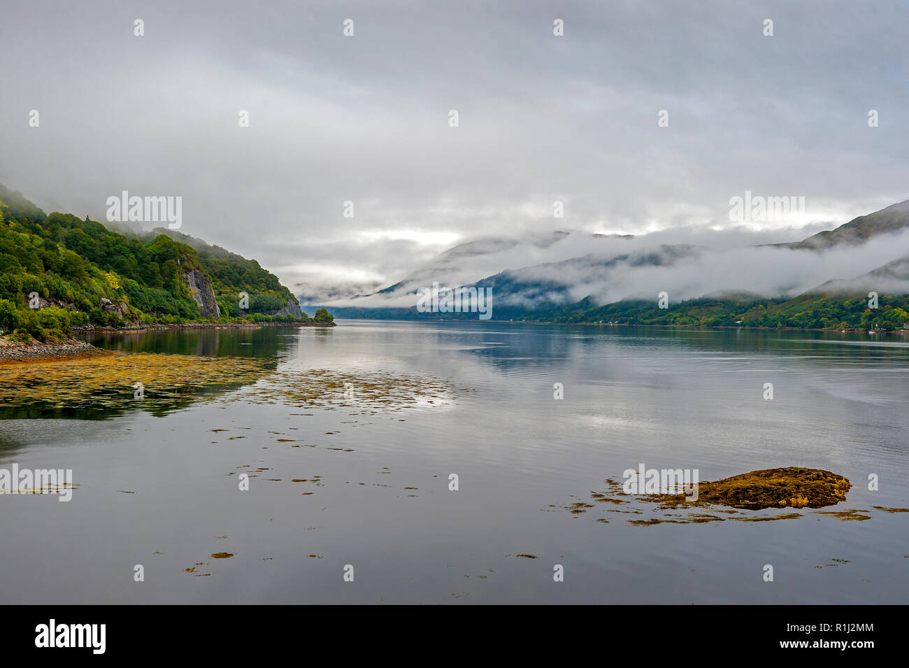 Fog and fog water hi-res stock photography and images - Alamy