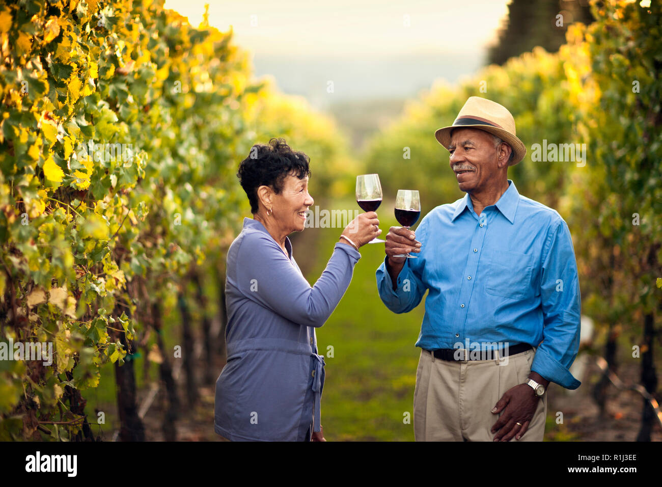 Very happy senior couple drinking red wine in the vineyard Stock Photo ...