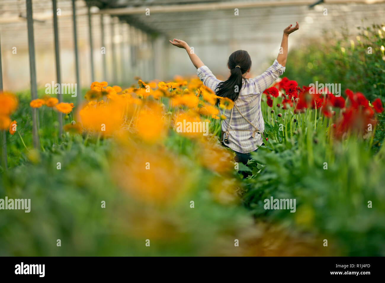 Teenage girl working in a greenhouse Stock Photo - Alamy