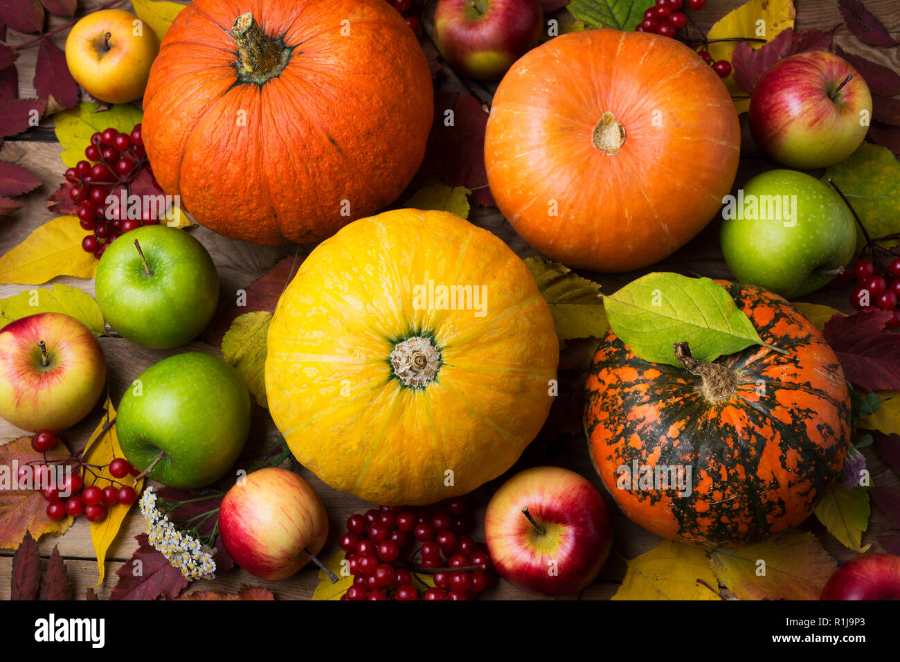 Thanksgiving background with orange and yellow pumpkins, fall leaves ...