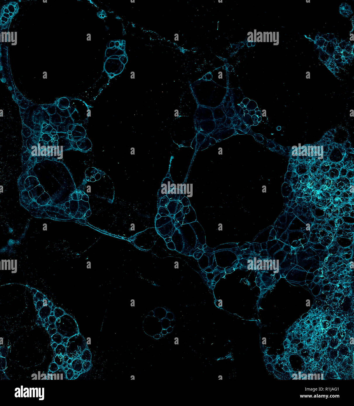 Abstract grunge cellular background against black background Stock ...