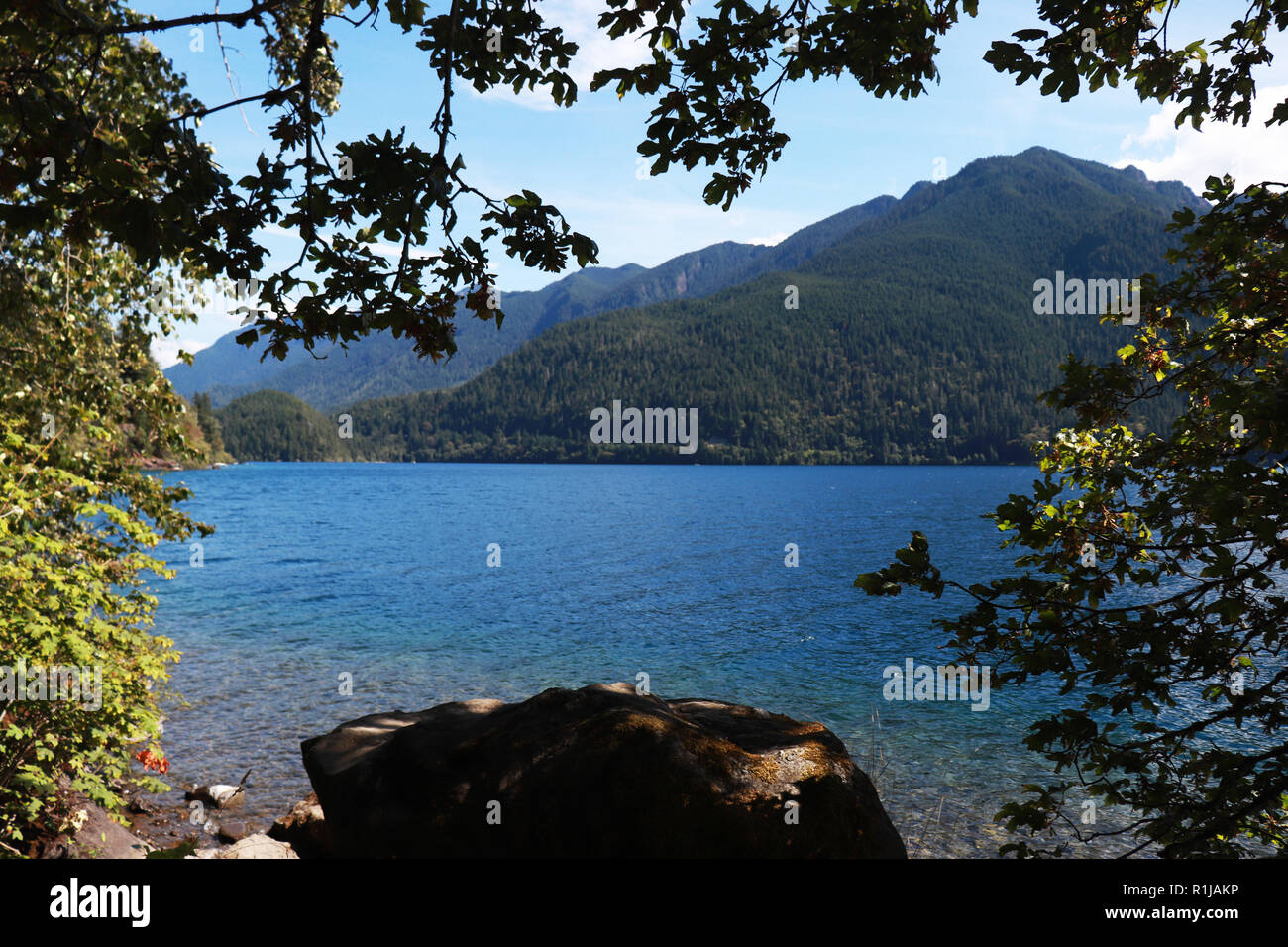 Lake Crescent, Olympic National Forest in Washington Stock Photo
