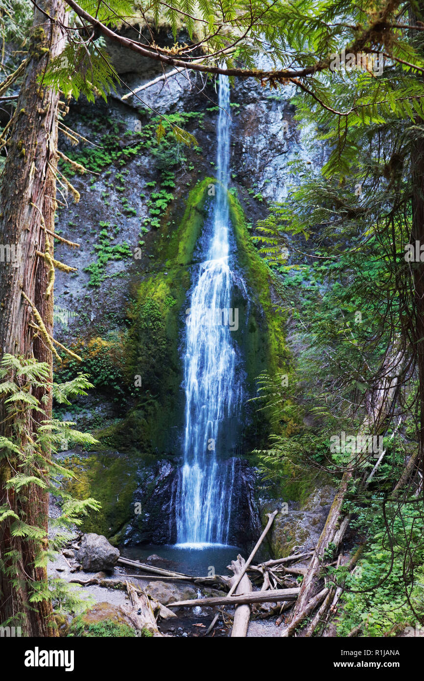 Marymere Falls near Crescent Lake, Olympic National Forest in Washington Stock Photo