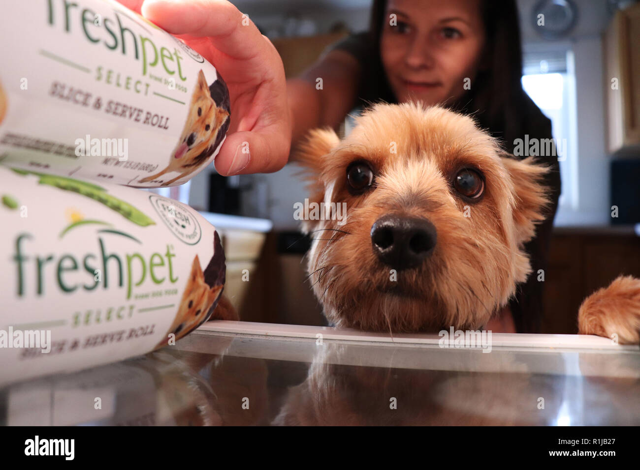 Served from fridge hires stock photography and images Alamy