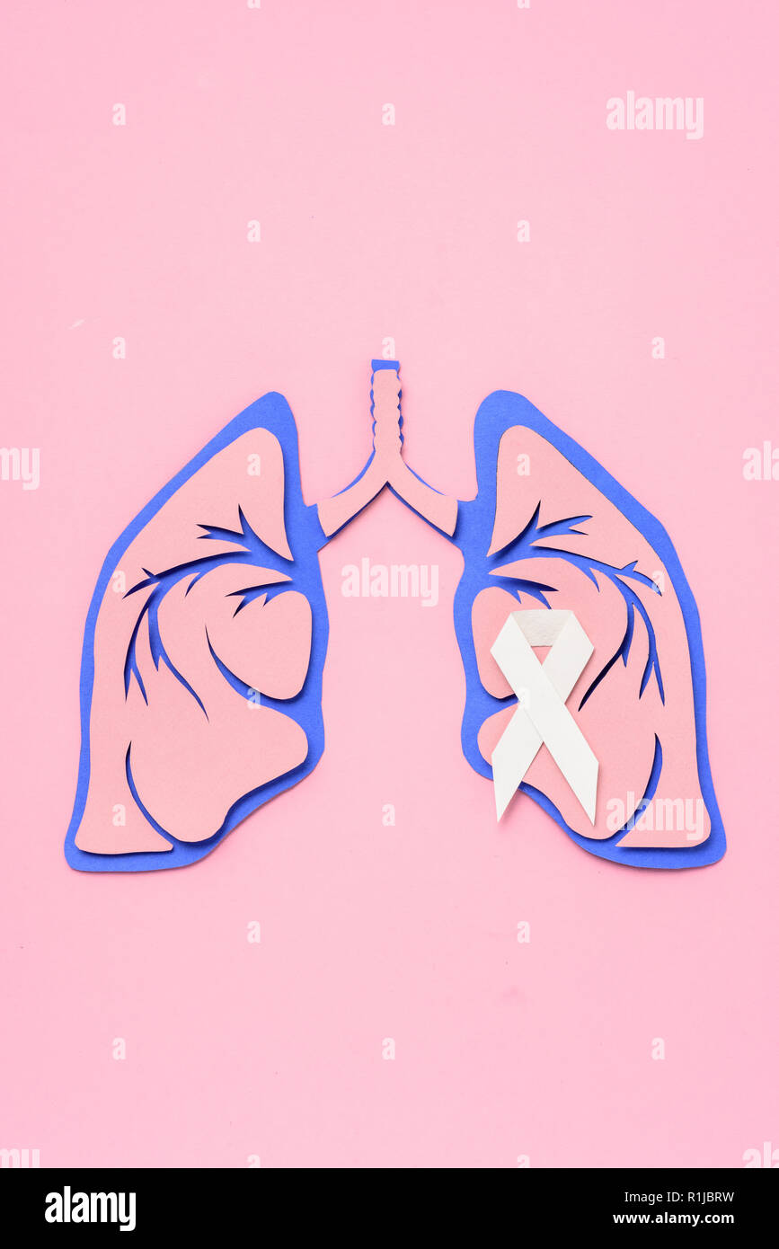 flat lay with lung cancer awareness white ribbon and human lungs on