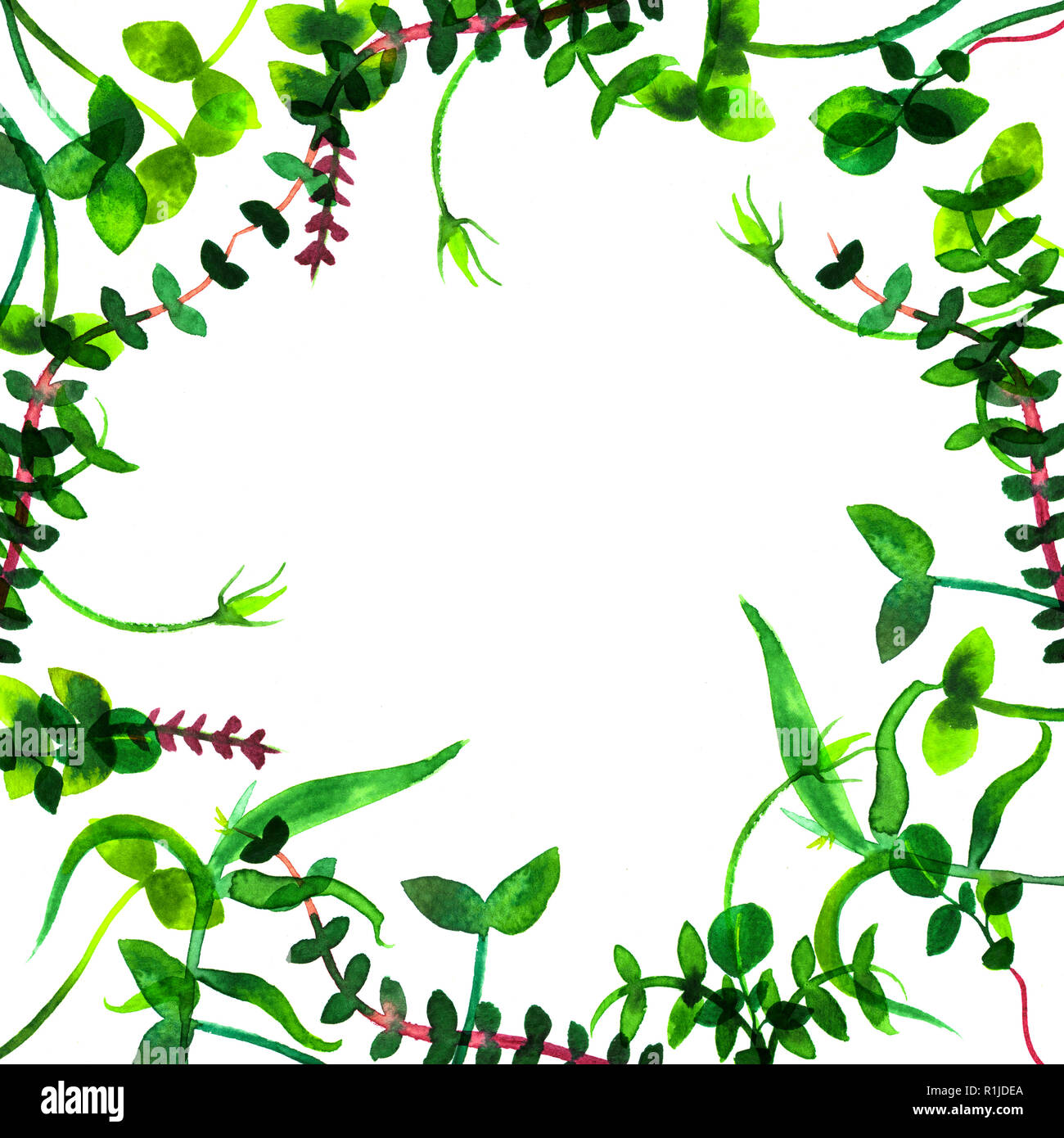 Simple sprouts leaves green hi-res stock photography and images - Alamy