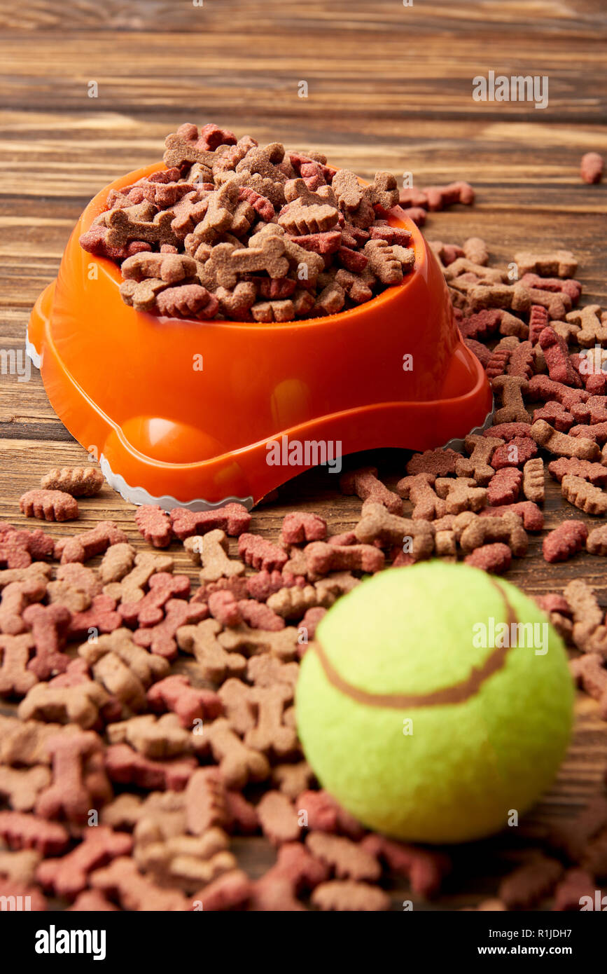 close up view of plastic bowl with dog food and ball on wooden table Stock Photo