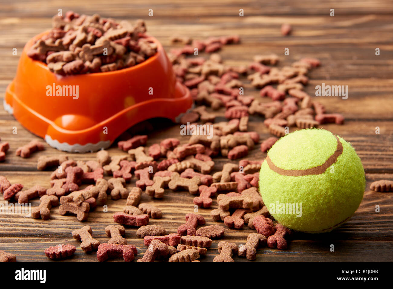 selective focus of plastic bowl with dog food and ball on wooden table Stock Photo