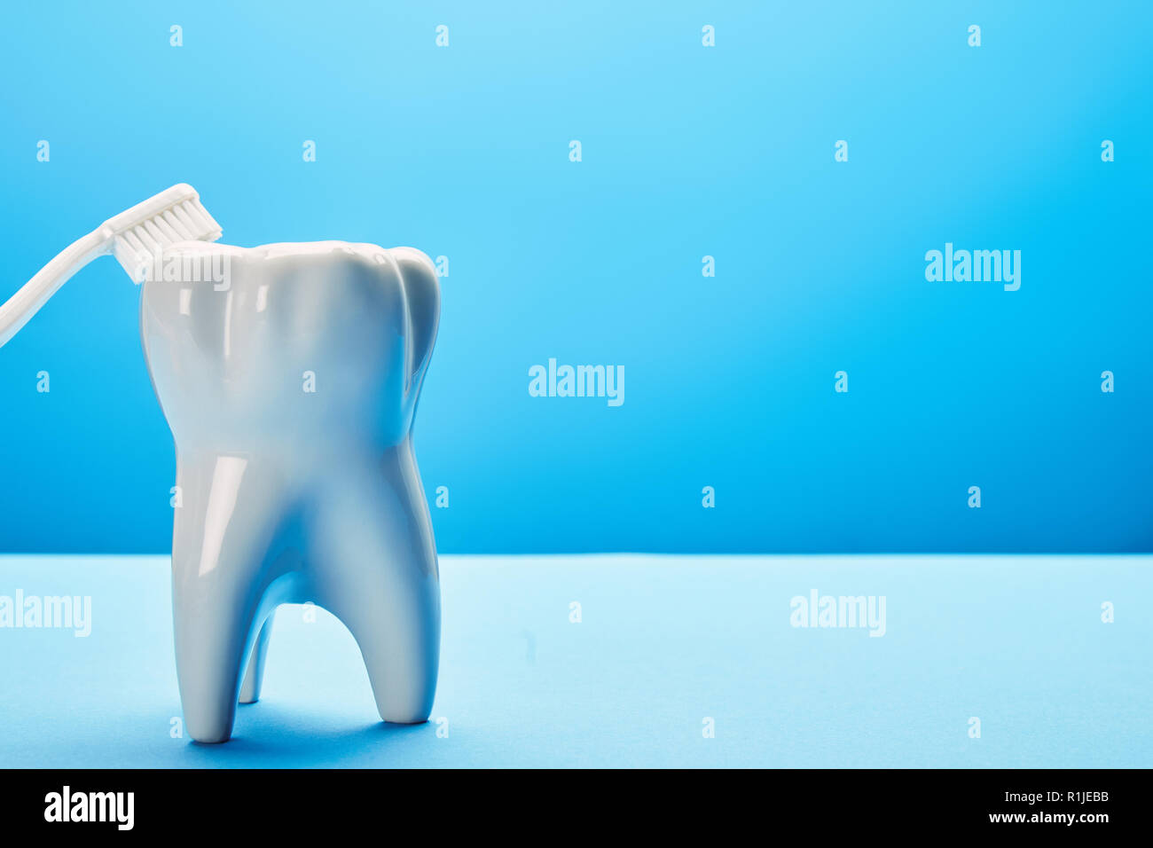 close up view of tooth model and toothbrush on blue background ...