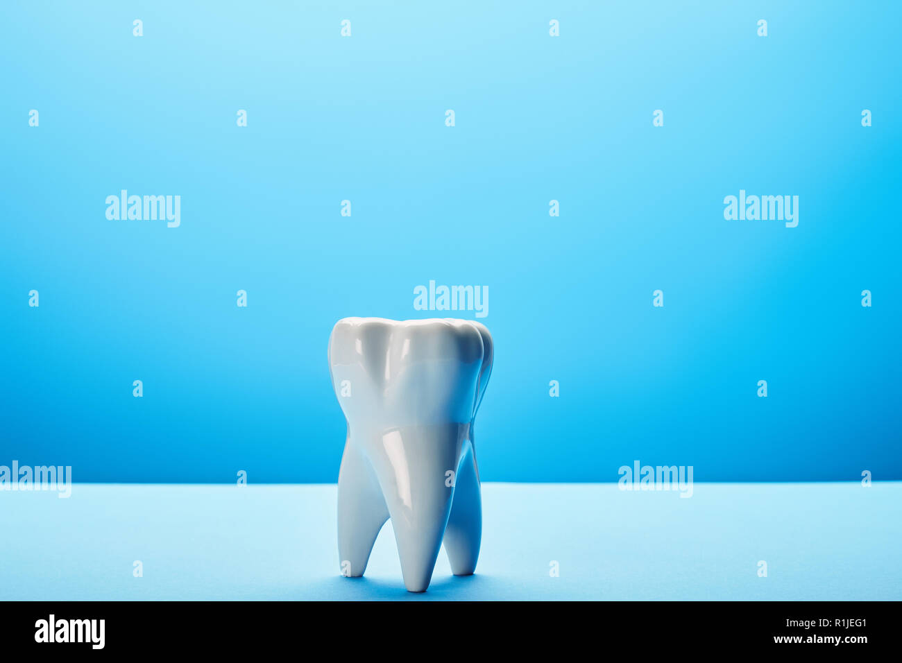 close up view of white tooth model on blue backdrop Stock Photo - Alamy