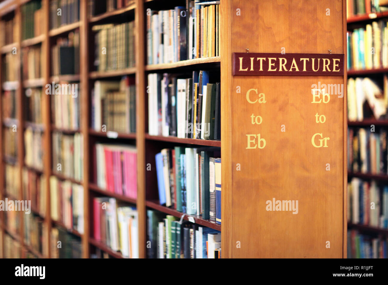 Library with books on shelf literature concept Stock Photo