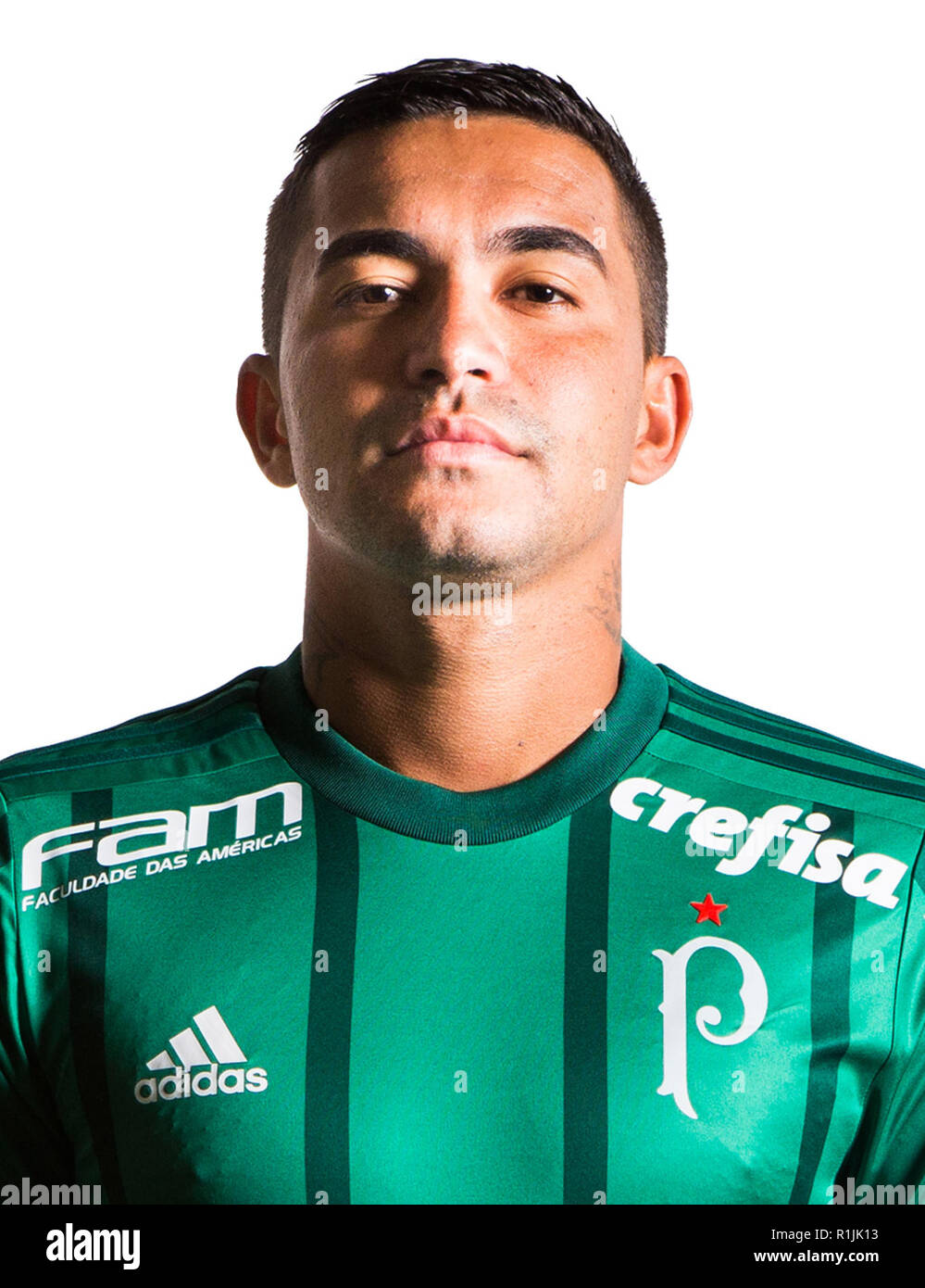 Brazilian Football League Serie A 2018 /  ( Sociedade Esportiva Palmeiras ) -  Eduardo Pereira Rodrigues ' Dudu ' Stock Photo