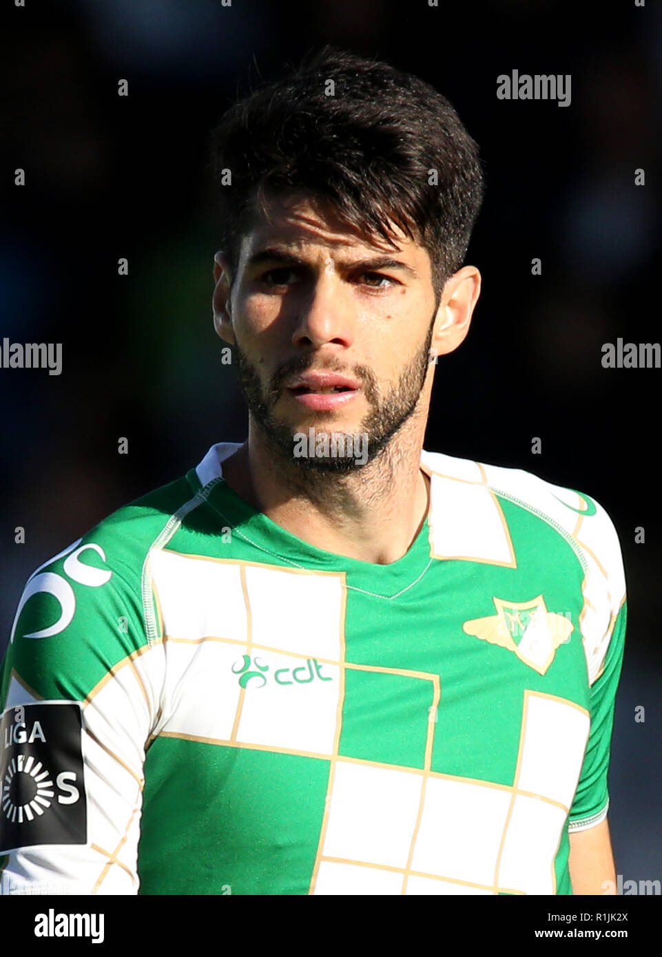 Portugal - Primeira Liga-NOS 2018-2019 /  ( Moreirense Futebol Clube ) -  Fabio Pacheco Stock Photo