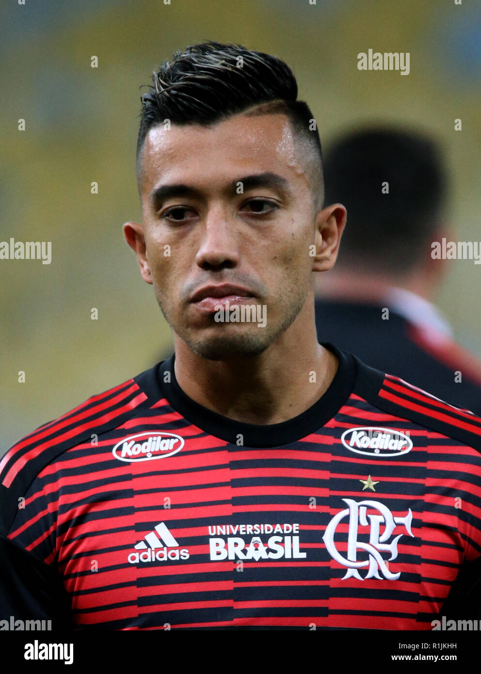 Brazilian Football League Serie A - Brasileirao Assai 2019 / ( Santos  Futebol Clube ) - Fernando Uribe Hincapie Stock Photo - Alamy