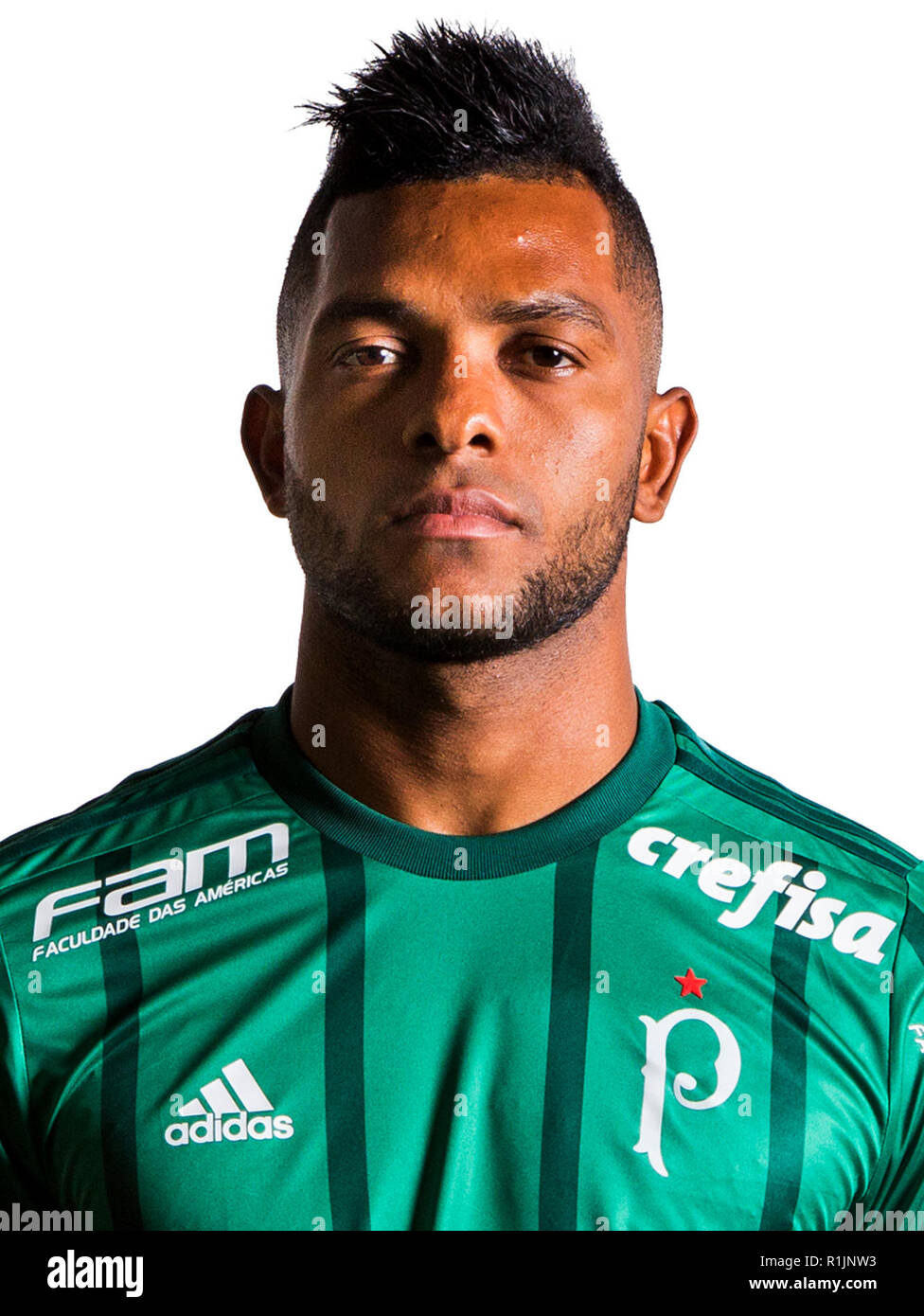 Brazilian Football League Serie A 2018 /  ( Sociedade Esportiva Palmeiras ) -  Miguel Angel Borja Hernandez Stock Photo