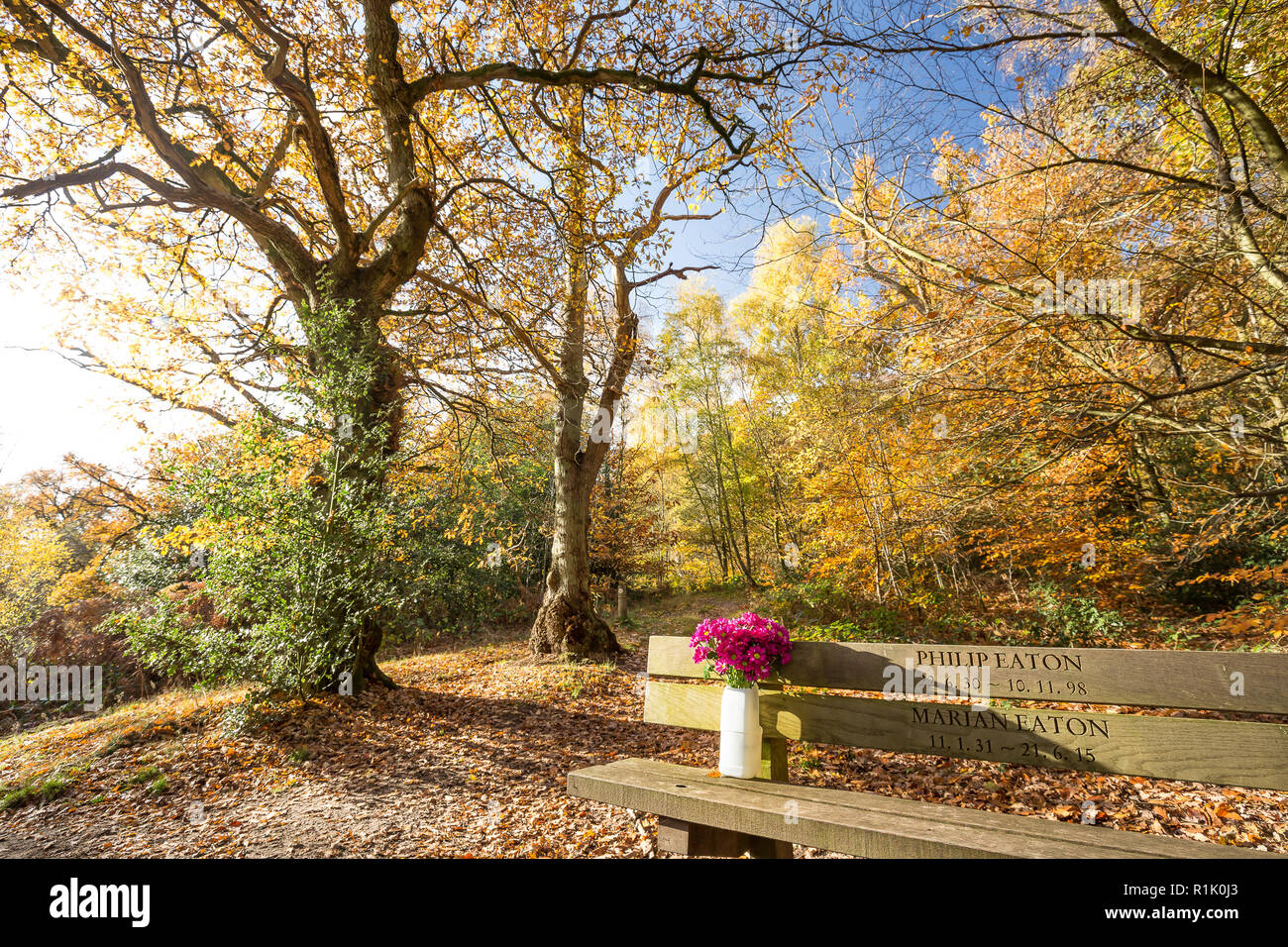 flowers left on a bench high resolution stock photography and images alamy flowers left on a bench high resolution stock photography and images alamy