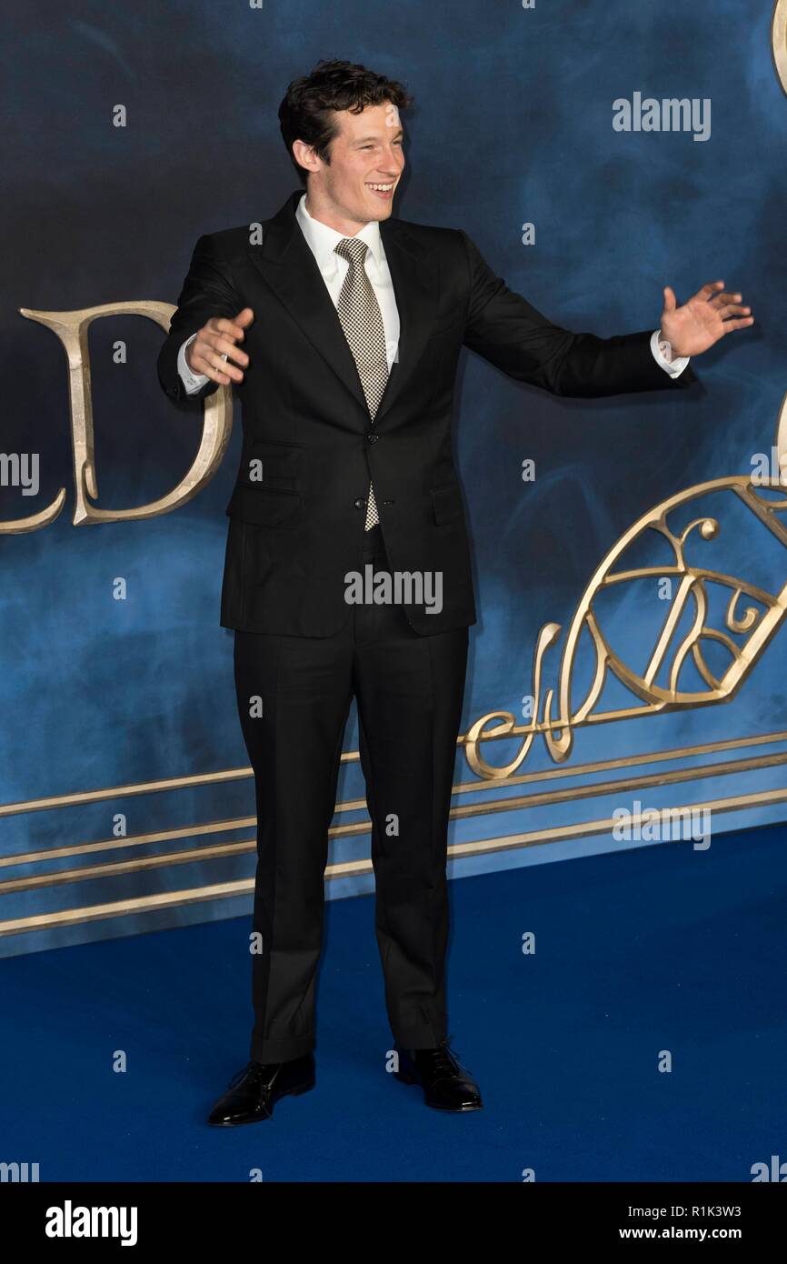 London, UK. 13th Nov, 2018. Callum Turner attends Fantastic Beasts The