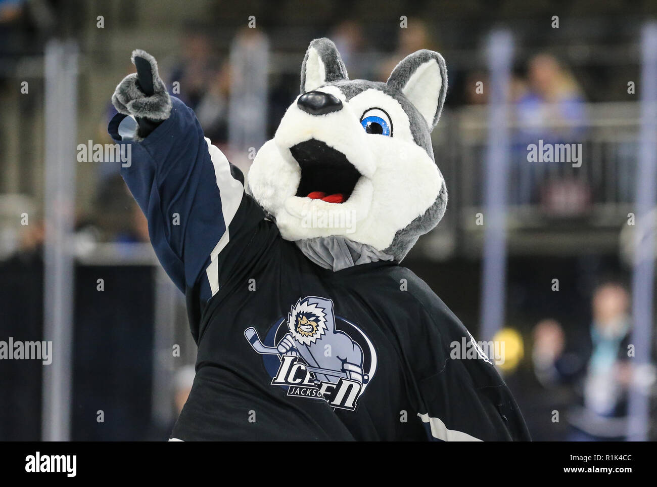 Icemen vs. Norfolk