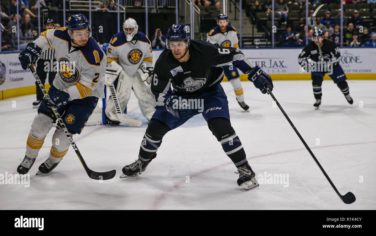 Jacksonville Icemen, Jacksonville, FL Professional Hockey