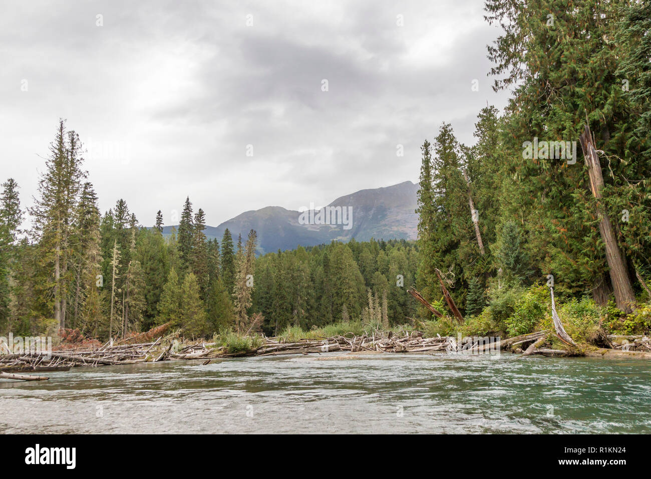 River scene near the head of the Mitchell river in the Cariboo Mountains Park, British Columbia, Canada Stock Photo
