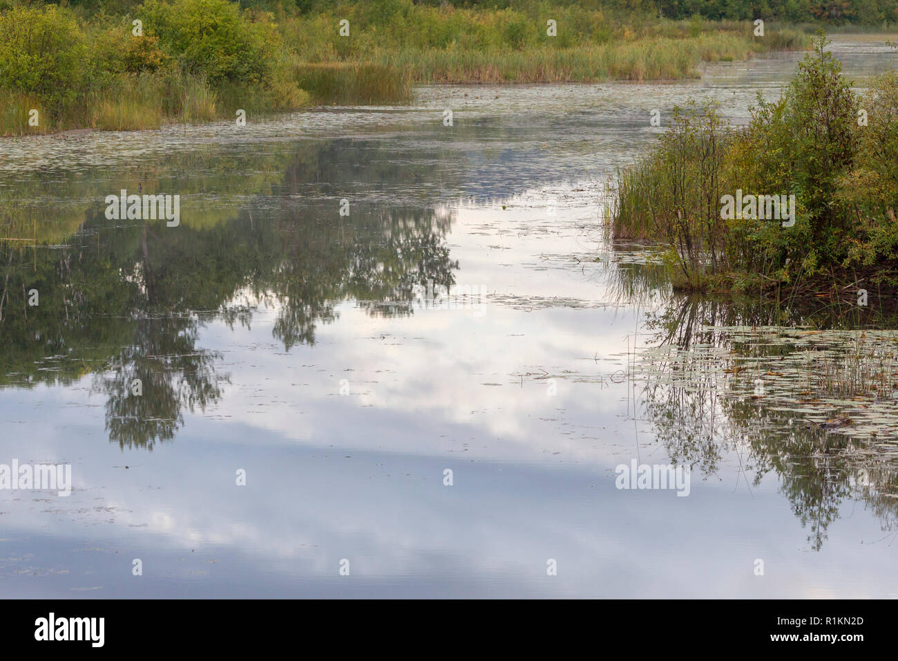River scenes, reflections on the Mitchell river in the Cariboo Mountains Park, British Columbia, Canada Stock Photo