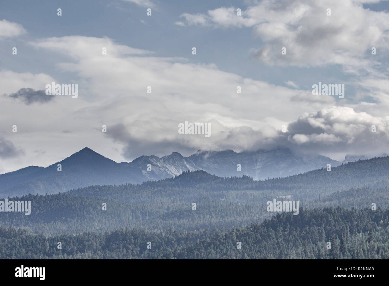 Views to the distant mountains in the Williams Lake area, Cariboo Mountains Park, British Columbia, Canada Stock Photo